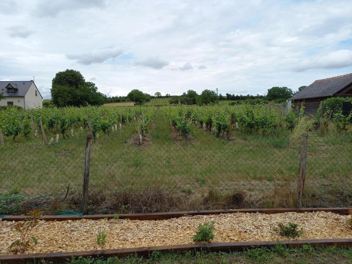Hebergement Sarment Du Veron Chinon Villa Beaumont-en-Véron Buitenkant foto